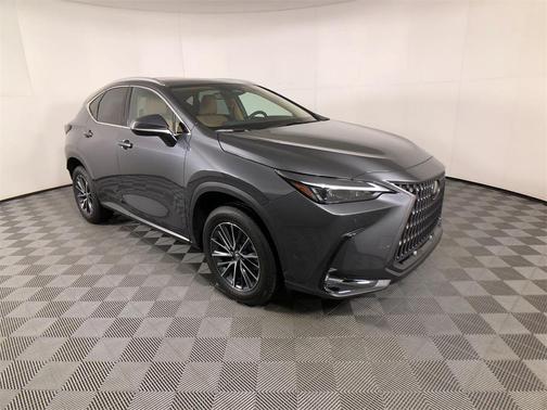 2025 Lexus NX 250 Premium