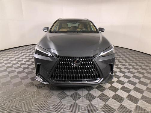 2025 Lexus NX 250 Premium