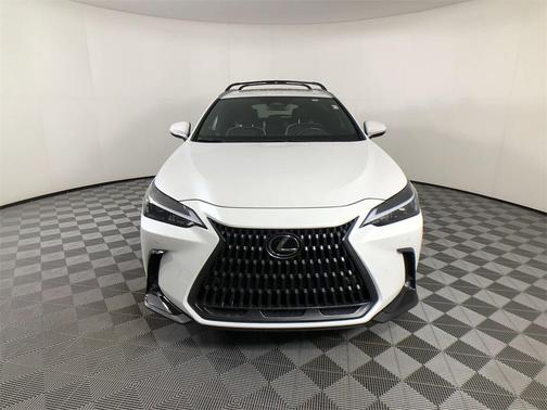 2024 Lexus NX 250 Premium
