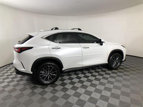 2024 Lexus NX 250 Premium