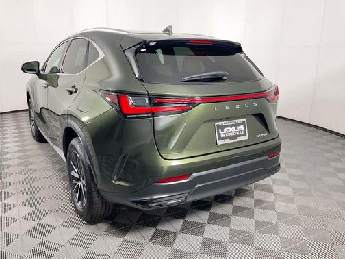Nori Green Pearl 2025 Lexus NX 250 Premium