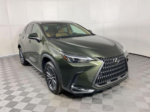 Nori Green Pearl 2025 Lexus NX 250 Premium