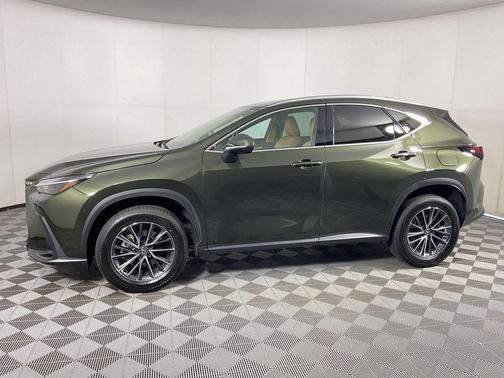 Nori Green Pearl 2025 Lexus NX 250 Premium