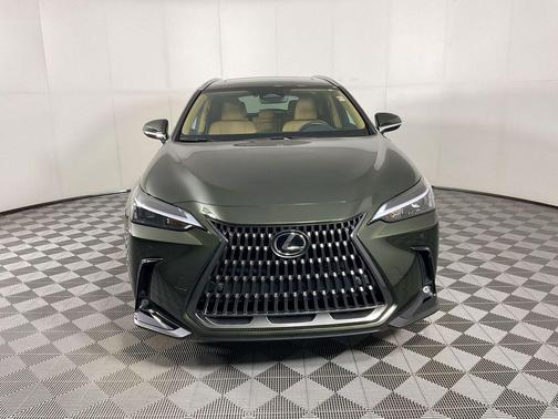 Nori Green Pearl 2025 Lexus NX 250 Premium