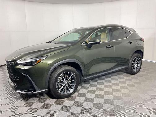 Nori Green Pearl 2025 Lexus NX 250 Premium