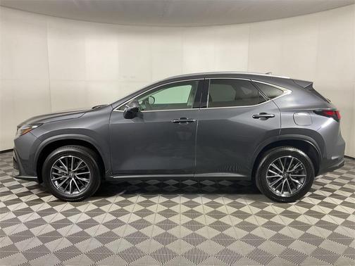2025 Lexus NX 250 Premium