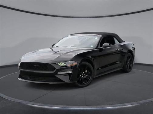 2019 Ford Mustang EcoBoost