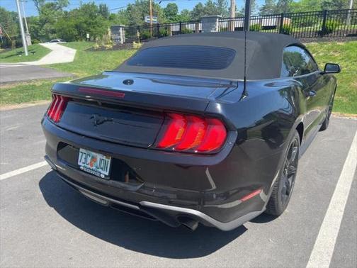 2019 Ford Mustang EcoBoost