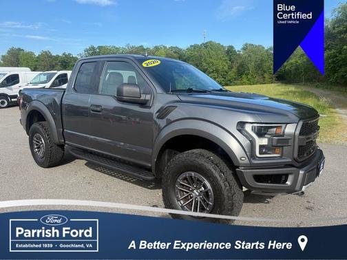 MAGNETIC 2020 Ford F-150 RAPTOR