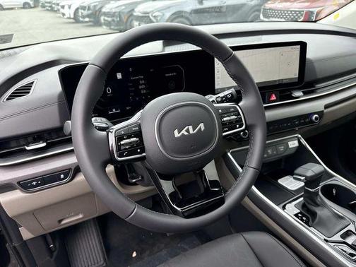 Panthera Metal 2026 Kia Carnival SX