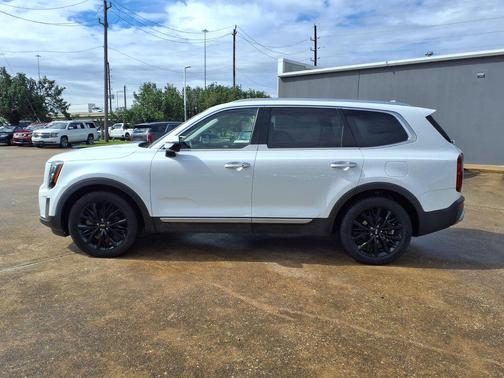 Snow White Pearl 2020 Kia Telluride SX