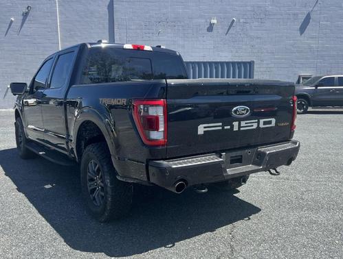 Agate Black 2021 Ford F-150 Tremor