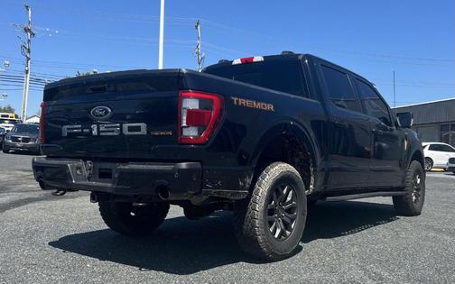 Agate Black 2021 Ford F-150 Tremor