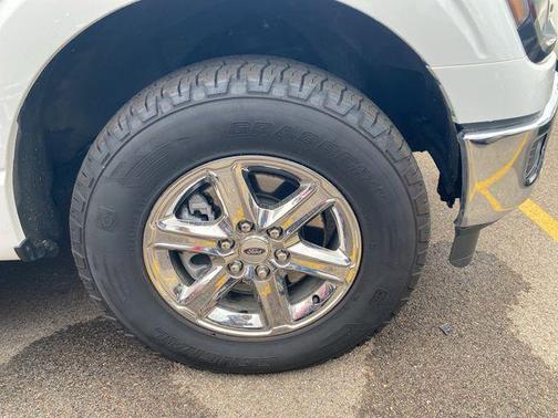 White 2025 Ford F-150 XLT