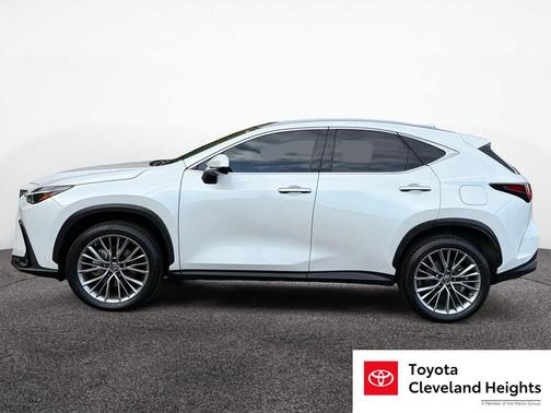 2022 Lexus NX 350 Luxury