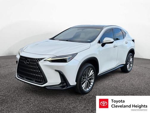 2022 Lexus NX 350 Luxury
