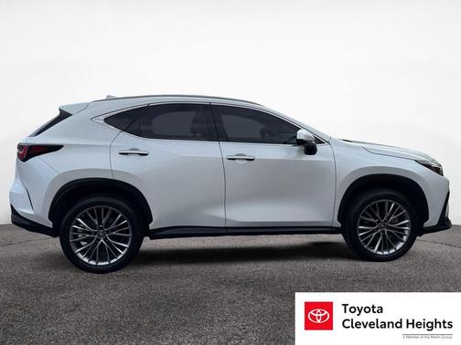 2022 Lexus NX 350 Luxury