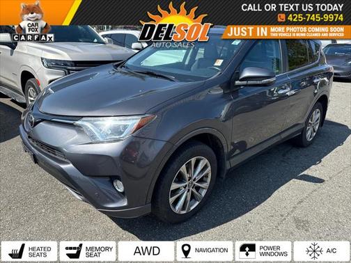 2017 Toyota RAV4 Platinum