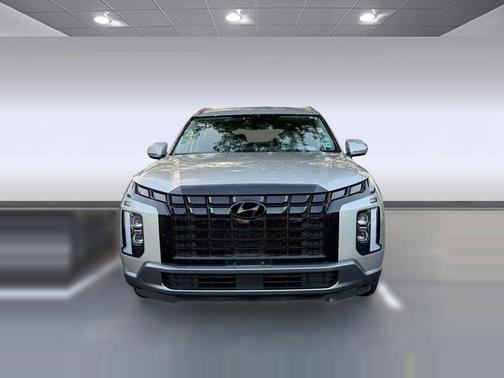 Typhoon Silver 2025 Hyundai PALISADE SEL