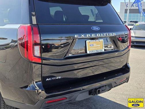 Black Metallic 2025 Ford Expedition Active