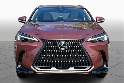 2025 Lexus NX 250 Premium