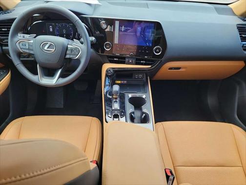 2025 Lexus NX 250 Premium