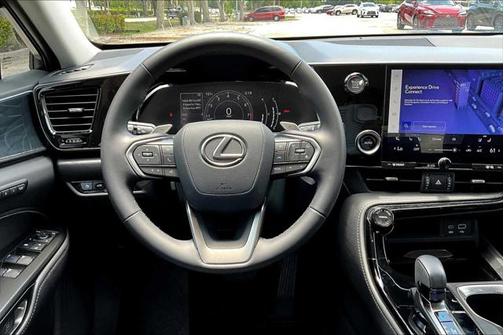 2025 Lexus NX 250 Premium