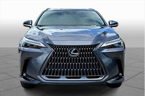 2025 Lexus NX 250 Premium