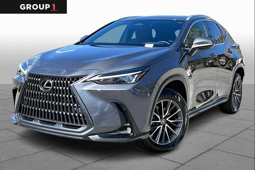Cloudburst Gray 2025 Lexus NX 250 Premium
