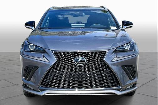 Nebula Gray Pearl 2019 Lexus NX 300 F Sport