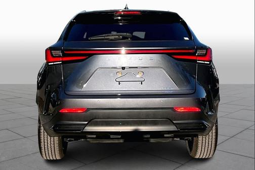 Cloudburst Gray 2023 Lexus NX 350 Premium