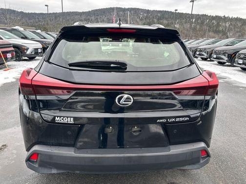 2024 Lexus UX 250h Premium