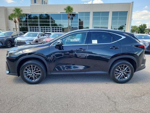2025 Lexus NX 250 Premium