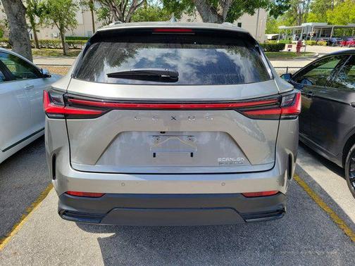 2025 Lexus NX 250 Premium