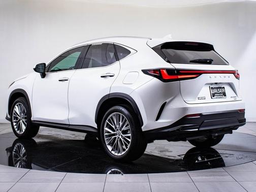2024 Lexus NX 350 Luxury