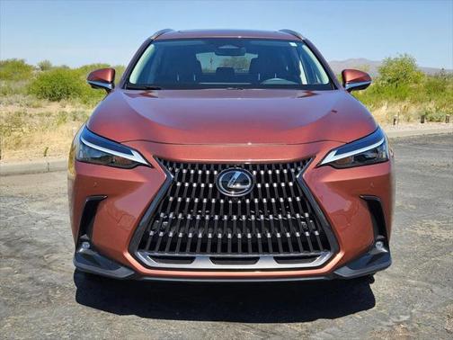 2025 Lexus NX 350 Premium