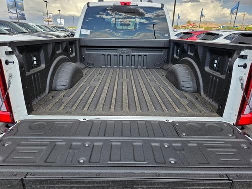 2025 Ford F-250 Platinum