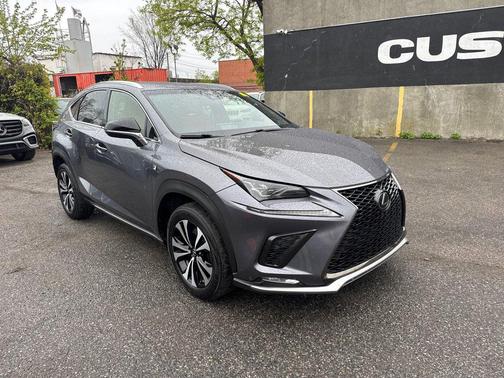 Nebula Gray Pearl 2019 Lexus NX 300 F Sport