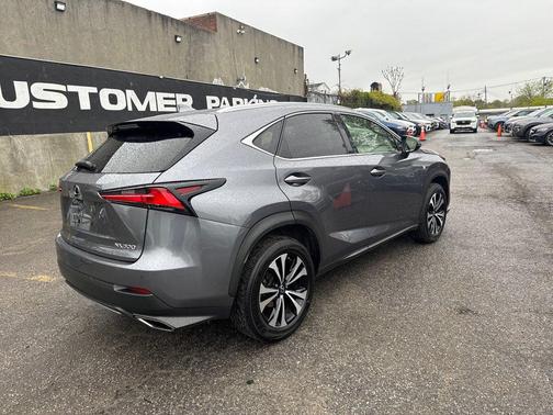 Nebula Gray Pearl 2019 Lexus NX 300 F Sport