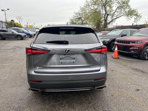 Nebula Gray Pearl 2019 Lexus NX 300 F Sport