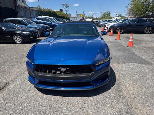 ATLAS BLUE METALLIC 2024 Ford Mustang EcoBoost Premium