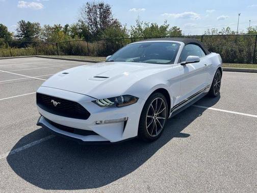 2019 Ford Mustang EcoBoost Premium