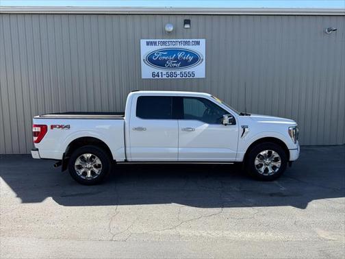 2021 Ford F-150 Platinum