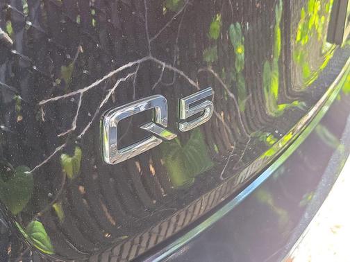 Mythos Black Metallic 2019 Audi Q5 2.0T Premium Plus