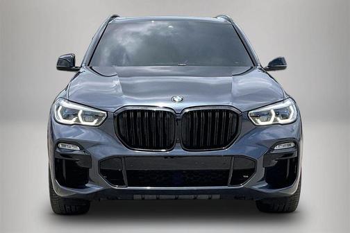 Arctic Gray Metallic 2019 BMW X5 xDrive50i