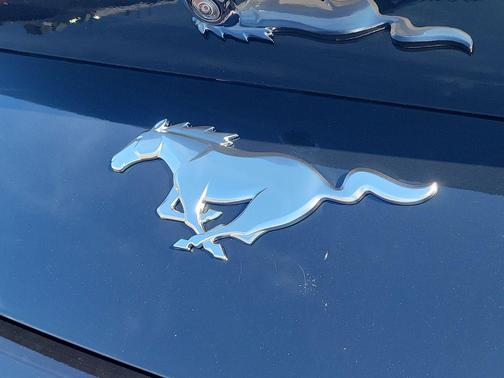 Shadow Black 2026 Ford Mustang EcoBoost Premium
