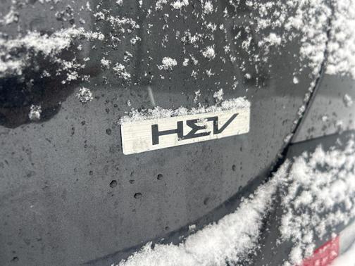 2025 Kia Carnival Hybrid EX