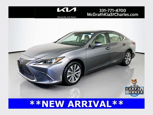 Gray Pearl 2019 Lexus ES 350 Base