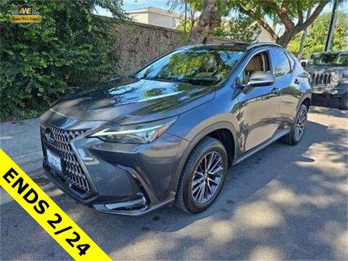 2024 Lexus NX 250 Base