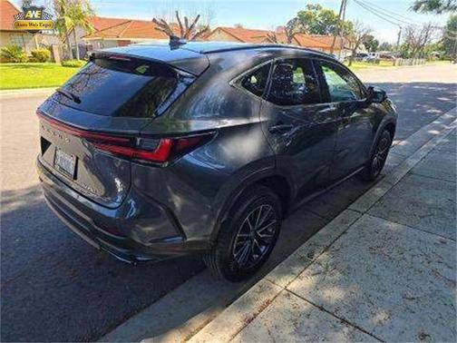 2024 Lexus NX 250 Base